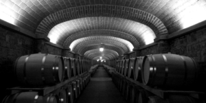 The dangers of must gas